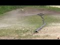 RC ADVENTURES - 3 Nitro 4X4 Truggy Trucks Race & Bash - Losi 8T 2.0's & the BLACKFOOT BASHERS