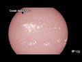 Venus Transit 2012: Incredible Images Caught on NASA Satellite