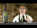 Catas Segura Viudas: Aria Brut Nature