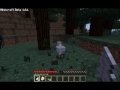 Minecraft Multiplayer del 1 svenska