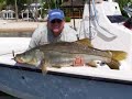 Monster Snook! Largest Snook Ever Broadcasted Stuart, Florida