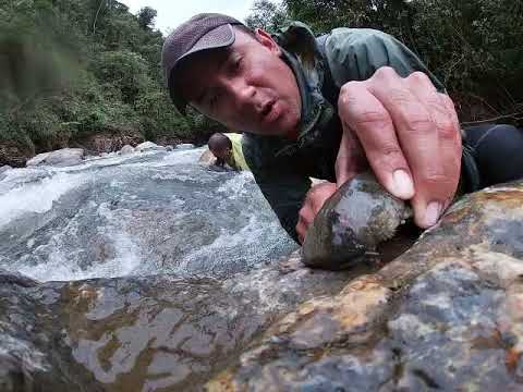 Fishing tour en Banos
