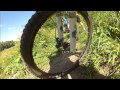 Cookies Descent to Slingshot