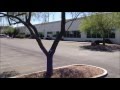 Man in the Trunk 4