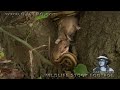 Python vs Opossum 01 - Dangerous Animals