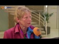 Wethouder Siersema van Menterwolde stapt op - RTV Noord