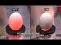 Fuwatoro Eggs are scrambled inside their shell for the creamiest breakfast egg-sperience #DigInfo