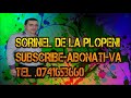 Sorinel de la Plopeni - SUPER COLAJ 2014 ALBUM FEBRUARIE MANELE-ETNO