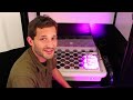How to Germinate Seeds for Hydroponics | How to Grow Indoor Plants