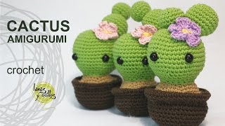 Download video: DIY Amigurumi Crochet Kawaii Cactus