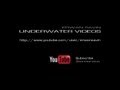 Teaser Erwan Savin - Underwater Videos  | 