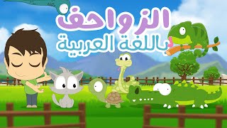 تعليم اسماء الزواحف للأطفال مع زكريا |  تعلم اسماء الزواحف باللغة العربية