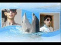 teri meri yeh dosti