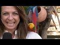 REDEVIDA VISITA RIO QUENTE - GOIÁS