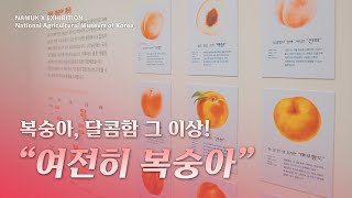 [NAMUK Exhibition] 국립농업박물관 테마전 "여전히 복숭아" 스케치 대표이미지