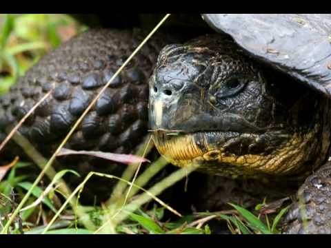 Galapagos with International Expeditions