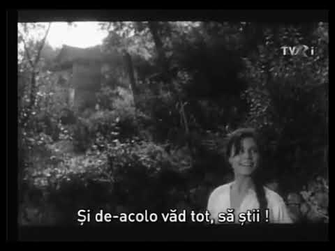 Comoara din Vadul Vechi (1964)