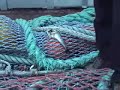 alaskan trawler boat fishing for pollack