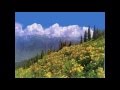 best song soni darti mili nagma best pakistan tarana 2011 nice song best wallpaper