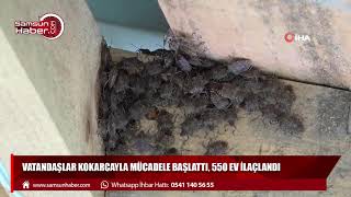 Vatandaşlar kokarcayla mücadele başlattı, 550 ev ilaçlandı