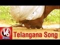 V6 Telangana Song