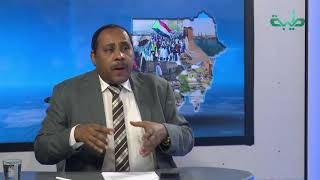 الصحفي حسن إسماعيل : البيئة السياسية المتزعزعة في السودان حالياً تؤثر علي جميع مؤسسات البلد