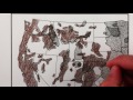 The Great North American Locust Plague