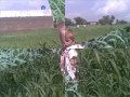 baram jan pashto songs&m ayaz khattak