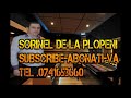 Sorinel de la Plopeni - Album Colaj Petrecere cu Manele Number 1