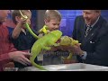 Steve Spangler Show - Making Science Fun!