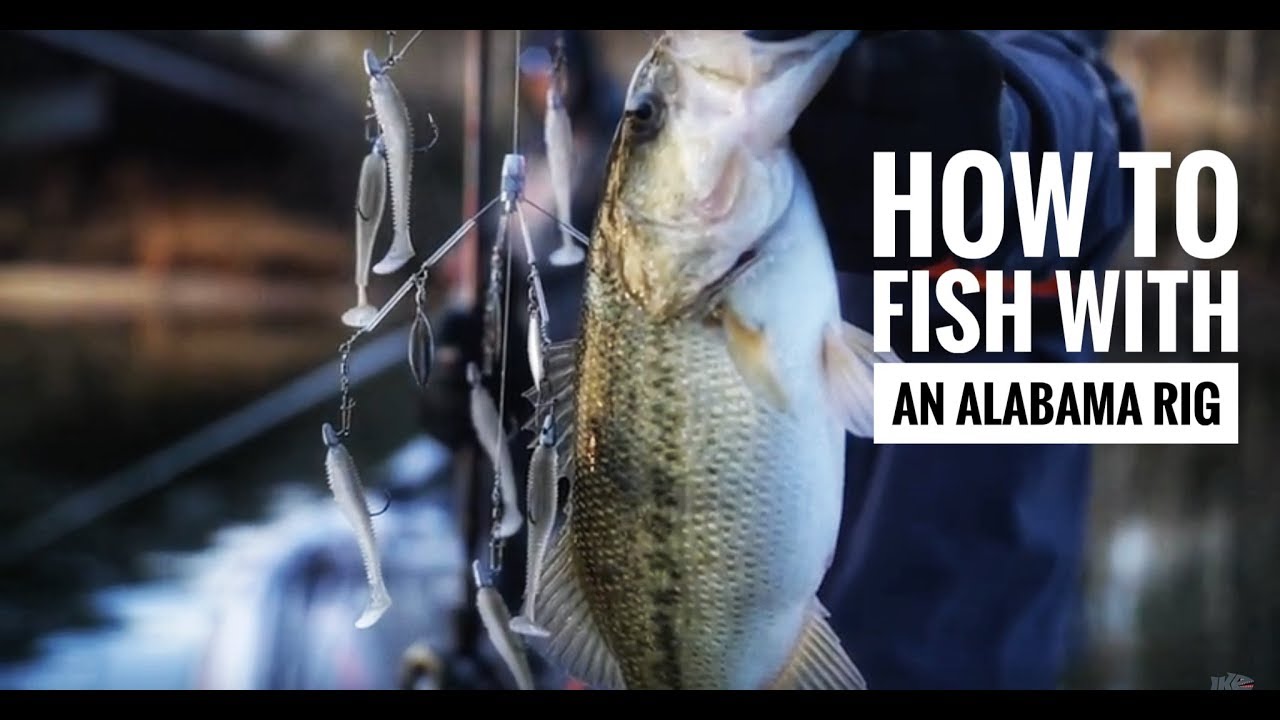 Umbrella Rig Fishing with Britt Myers Recap Bass Fishing Video