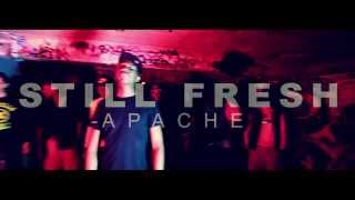 Still Fresh - Apache Still Fresh - Apache