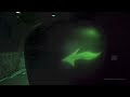 The Haunted Mansion Complete Ride POV with Night Vision Magic Kingdom Walt Disney World HD 1080p