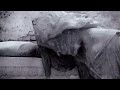 Sad piano (this will make you cry)