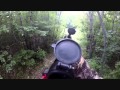 Bear Hunt Washburn County Wisconsin 09052014