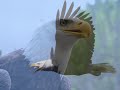 The Eagle