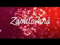 Emily & Justice - Zamilovaná (lyrics video) (prod. Marek Vozár) Obrázok autora