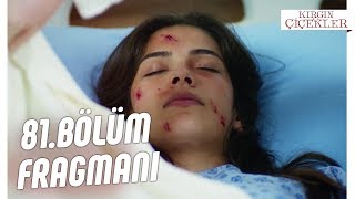 Kırgın Çiçekler 81.Bölüm Fragmanı