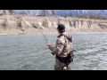 Steelhead Fishing in British Columbia, Canada