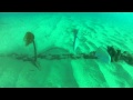 Freediving relaxation | 