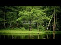 Nature Sound 16 - THE MOST RELAXING SOUNDS -