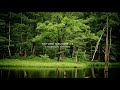 Nature Sound 16 - THE MOST RELAXING SOUNDS -