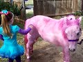 Pink Pony Surprise for Rosie Dale's 5th Happy Birthday Party Bronies