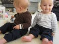 Alexander & Phillip - funny twins.