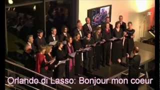 Vox Nova Bonjour Mon Coeur Youtube