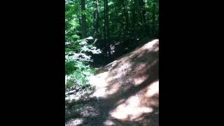 Reacção dramática