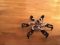 MorpHex part 1