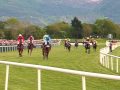Killarney - lóverseny 3