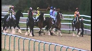 JOEY wins the Maiden Stakes (For Shires) at Lingfield. 15/06/13