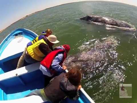 Fabulous Family Fun Adventure Week in Baja California Sur